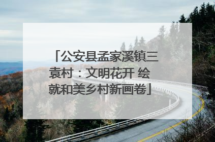 公安县孟家溪镇三袁村：文明花开 绘就和美乡村新画卷
