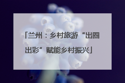 兰州：乡村旅游“出圈出彩”赋能乡村振兴