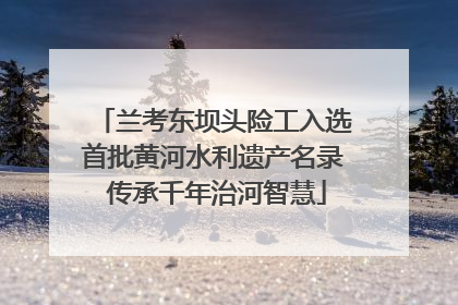 兰考东坝头险工入选首批黄河水利遗产名录 传承千年治河智慧