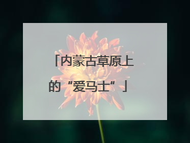 内蒙古草原上的“爱马士”