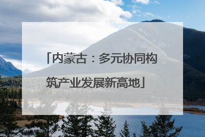 内蒙古：多元协同构筑产业发展新高地