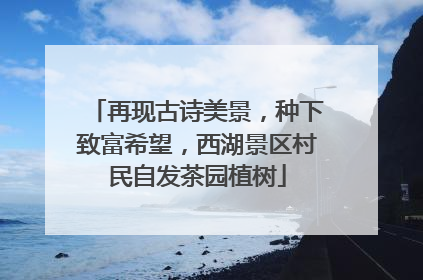 再现古诗美景，种下致富希望，西湖景区村民自发茶园植树