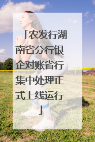 农发行湖南省分行银企对账省行集中处理正式上线运行