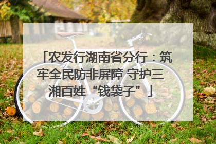 农发行湖南省分行：筑牢全民防非屏障 守护三湘百姓“钱袋子”