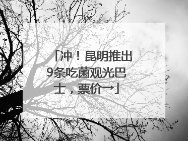 冲！昆明推出9条吃菌观光巴士，票价→