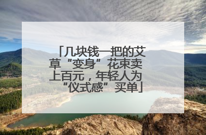 几块钱一把的艾草“变身”花束卖上百元，年轻人为“仪式感”买单