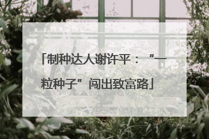 制种达人谢许平：“一粒种子”闯出致富路