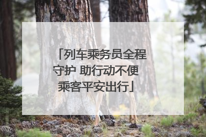 列车乘务员全程守护 助行动不便乘客平安出行