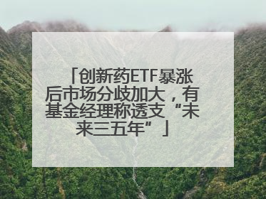创新药ETF暴涨后市场分歧加大，有基金经理称透支“未来三五年”