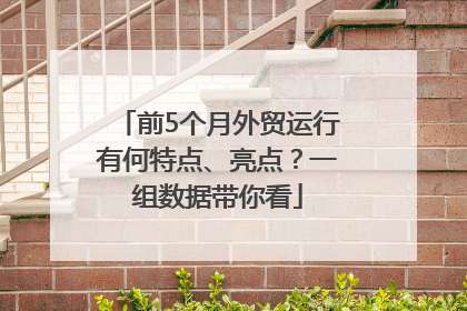 前5个月外贸运行有何特点、亮点？一组数据带你看