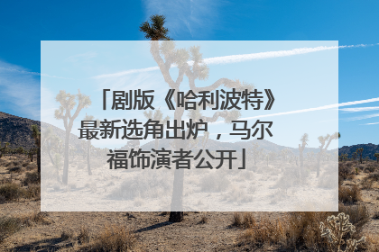 剧版《哈利波特》最新选角出炉，马尔福饰演者公开