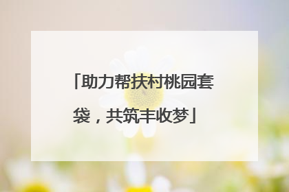 助力帮扶村桃园套袋，共筑丰收梦