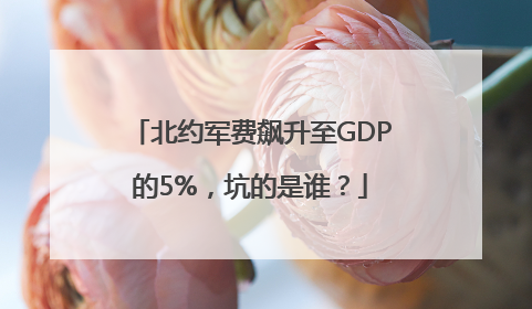 北约军费飙升至GDP的5%，坑的是谁？