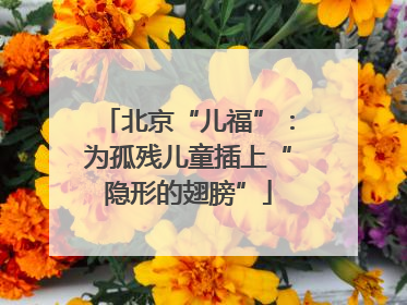 北京“儿福”：为孤残儿童插上“隐形的翅膀”