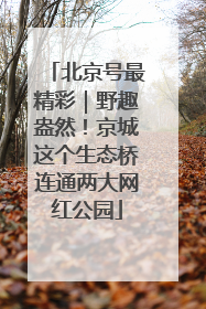 北京号最精彩｜野趣盎然！京城这个生态桥连通两大网红公园
