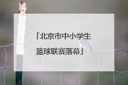 北京市中小学生篮球联赛落幕