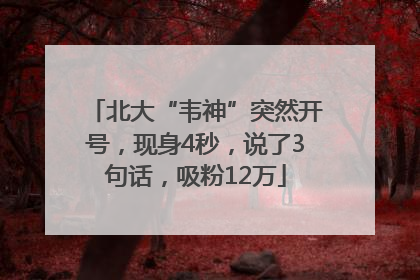 北大“韦神”突然开号，现身4秒，说了3句话，吸粉12万