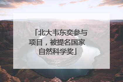 北大韦东奕参与项目，被提名国家自然科学奖