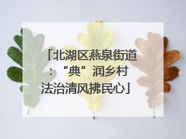 北湖区燕泉街道：“典”润乡村 法治清风拂民心