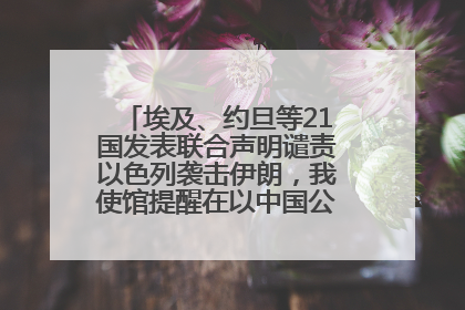 埃及、约旦等21国发表联合声明谴责以色列袭击伊朗，我使馆提醒在以中国公民尽快陆路离境