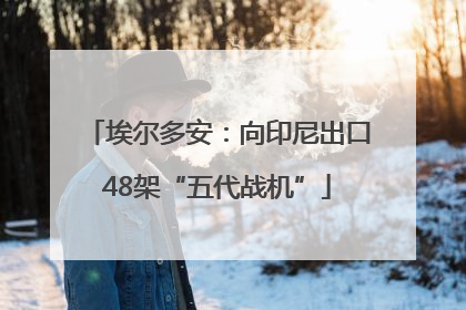 埃尔多安：向印尼出口48架“五代战机”