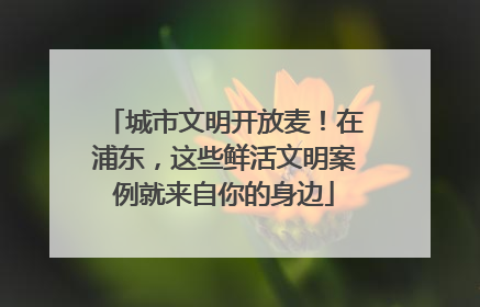 城市文明开放麦！在浦东，这些鲜活文明案例就来自你的身边