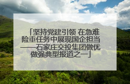 坚持党建引领 在急难险重任务中展现国企担当——石家庄交投集团做优做强典型报道之一