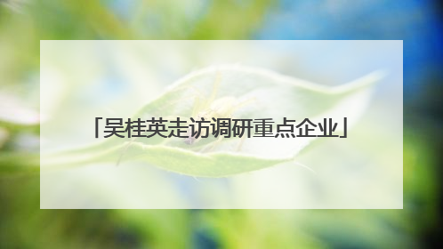吴桂英走访调研重点企业