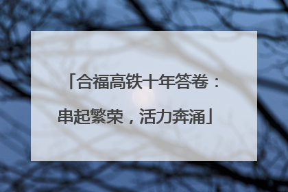 合福高铁十年答卷：串起繁荣，活力奔涌