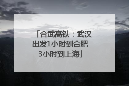 合武高铁：武汉出发1小时到合肥3小时到上海