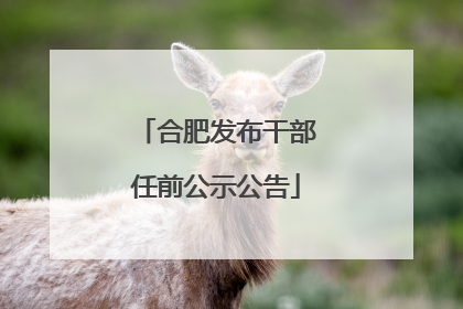 合肥发布干部任前公示公告