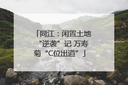 同江：闲置土地“逆袭”记 万寿菊“C位出道”