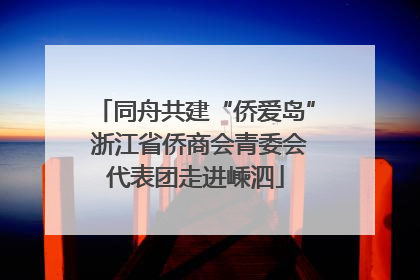 同舟共建“侨爱岛” 浙江省侨商会青委会代表团走进嵊泗