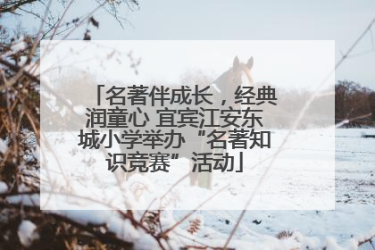 名著伴成长，经典润童心 宜宾江安东城小学举办“名著知识竞赛”活动