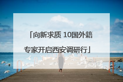 向新求质 10国外籍专家开启西安调研行