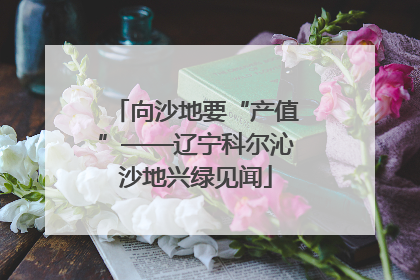 向沙地要“产值”——辽宁科尔沁沙地兴绿见闻