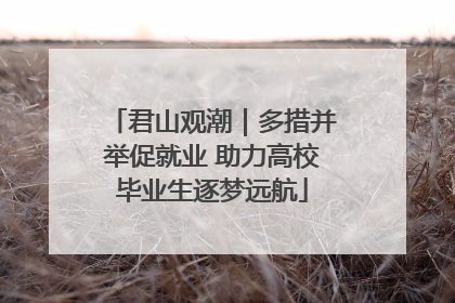 君山观潮｜多措并举促就业 助力高校毕业生逐梦远航
