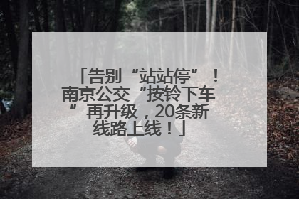 告别“站站停”！南京公交“按铃下车”再升级，20条新线路上线！