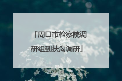周口市检察院调研组到扶沟调研