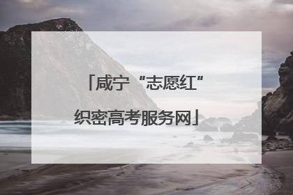 咸宁“志愿红”织密高考服务网