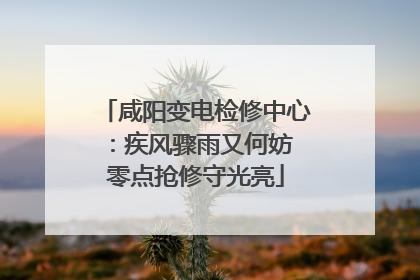 咸阳变电检修中心：疾风骤雨又何妨 零点抢修守光亮