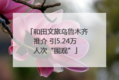 和田文旅乌鲁木齐推介 引5.24万人次“围观”