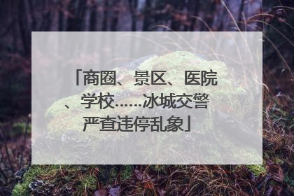 商圈、景区、医院、学校……冰城交警严查违停乱象