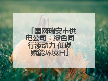国网瑞安市供电公司：绿色同行添动力 低碳赋能环境日