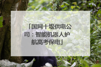 国网十堰供电公司：智能机器人护航高考保电