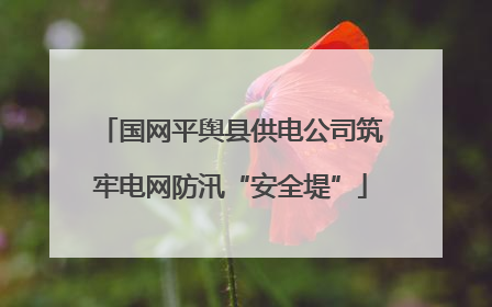 国网平舆县供电公司筑牢电网防汛“安全堤”