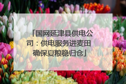 国网延津县供电公司：供电服务进麦田 确保夏粮稳归仓