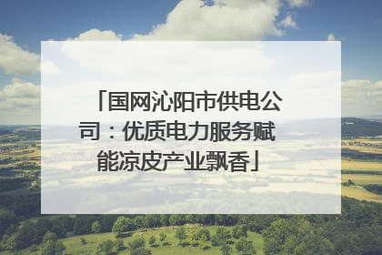 国网沁阳市供电公司：优质电力服务赋能凉皮产业飘香