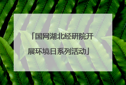 国网湖北经研院开展环境日系列活动