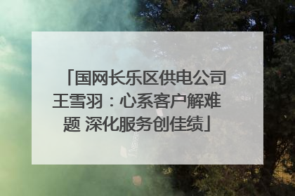 国网长乐区供电公司王雪羽：心系客户解难题 深化服务创佳绩